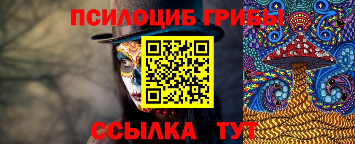 Псилоцибиновые грибы мухоморы  Псилоцибиновые грибы мицелий  Вход с VPN  Ставрополь 