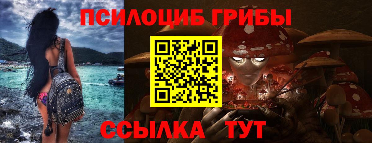 Псилоцибиновые грибы мицелий Ставрополь
